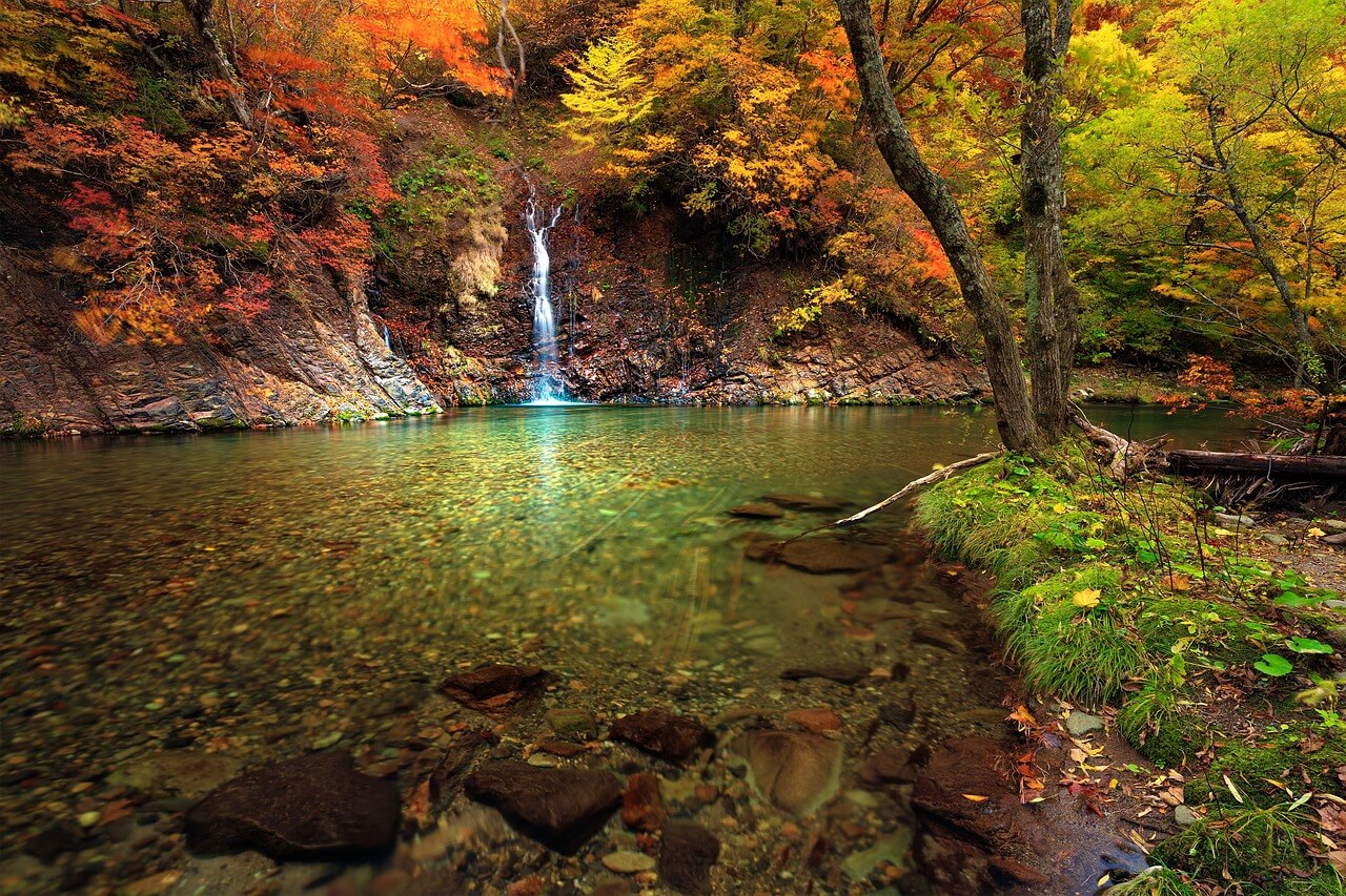 A wide shallow stream in an autumn forest, with a small waterfall flowing in.