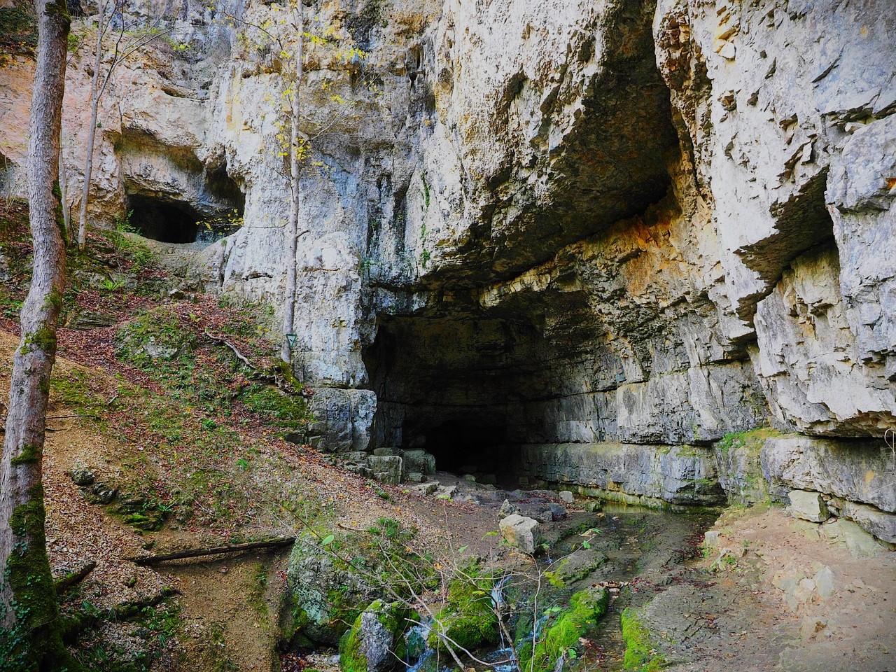 Mossy cave opening in the side of a rock face.