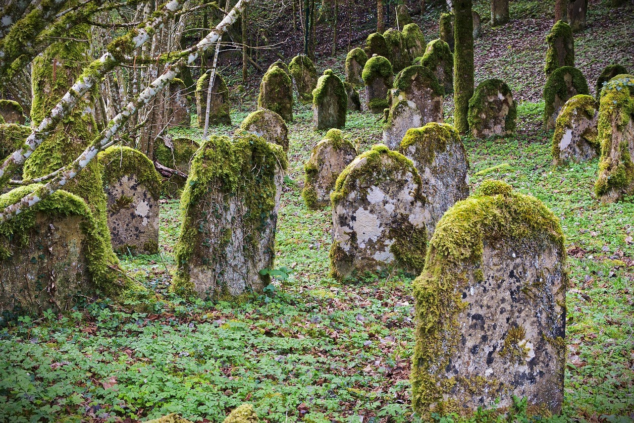 Mossy, ancient tombstones on a hill.